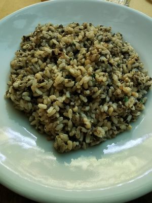 Rice with pesto and mushrooms at Il Vegetariano in Florence