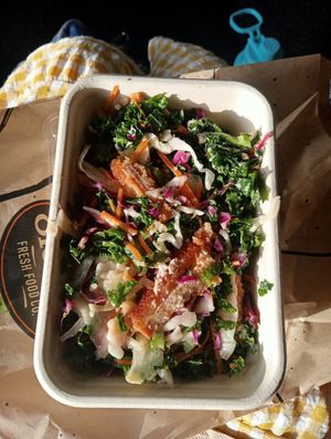 Fake chicken schnitzel slaw at SYD - Soul Origin - T2  in Mascot