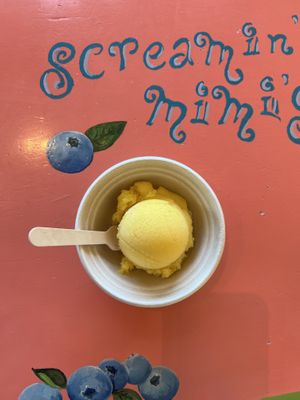   at Screamin' Mimi's in Sebastopol