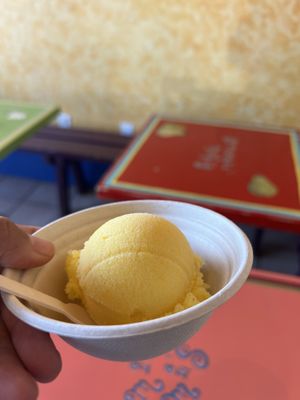   at Screamin' Mimi's in Sebastopol