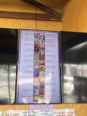   at Screamin' Mimi's in Sebastopol