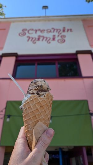 Vegan Mimi's Mud at Screamin' Mimi's in Sebastopol