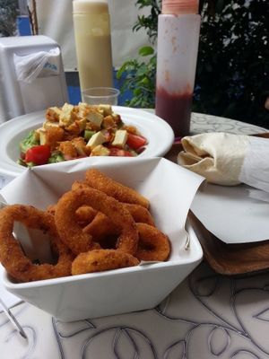 Onion rings, shnizel salad and wrap at HaShwarma HaTivonit - The Vegan Shwarma in Tel Aviv