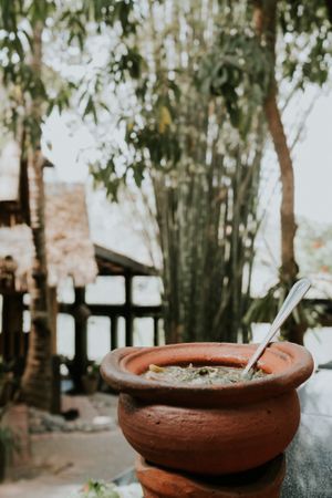Try out our Coconut tofu soup, it is delicious. at Dyen Sabai in Luang Prabang