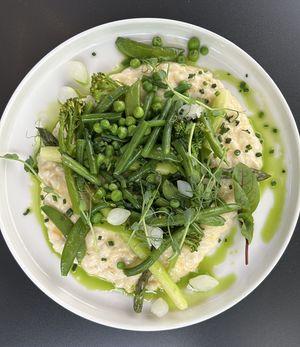 Risotto with green vegetables and vegan cheese  at Wena Restaurant in Swinoujscie