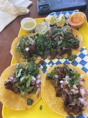   at Plantaqueria in San Antonio