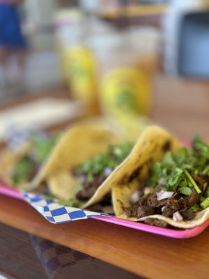   at Plantaqueria in San Antonio