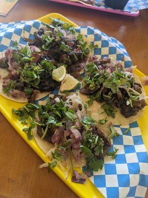  at Plantaqueria in San Antonio