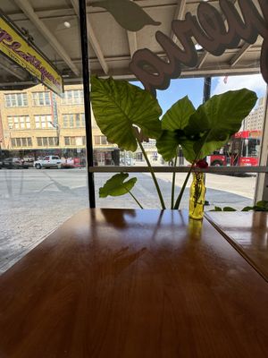   at Plantaqueria in San Antonio