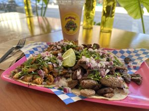   at Plantaqueria in San Antonio