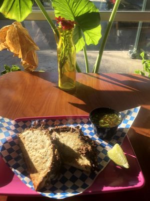   at Plantaqueria in San Antonio