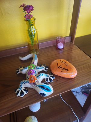  at Plantaqueria in San Antonio