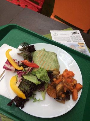 ummus wrap with curry and fresh salad at Veggie in Bratislava