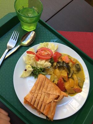 hummus wrap with curry and fresh salad at Veggie in Bratislava