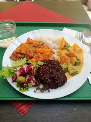 daily menu - thai veggie curry, some sweet potato daal I think, beet patty, rice and fresh salad at Veggie in Bratislava