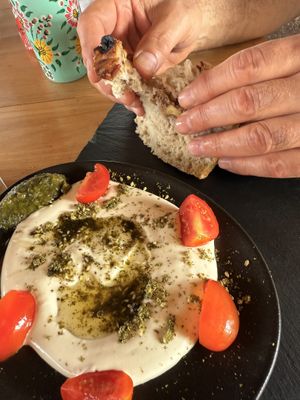   at Shobolana שובולנה  in Katzir