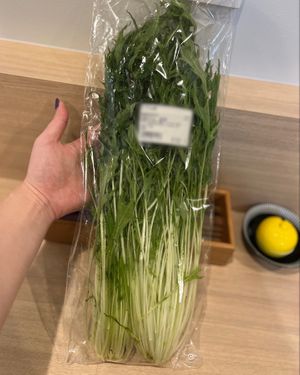  at Alohana Vegan Ramen in Osaka