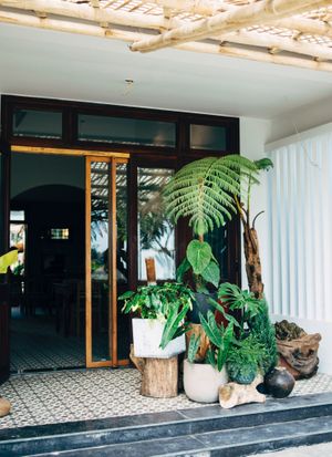 From the front door  at Tropical Eatery by Chay Vui in Hoi An