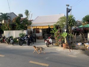   at Tropical Eatery by Chay Vui in Hoi An