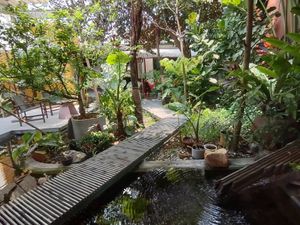 Nice outdoor seating at Tropical Eatery by Chay Vui in Hoi An