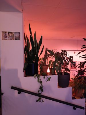  at Café Cosmo in Landau