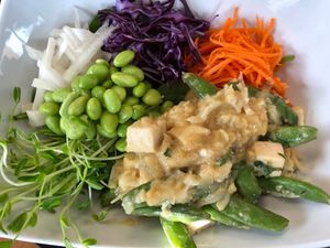 Victor-Y Vegetable Tofu Bowl: Spinach, cabbage, carrots, edamame, jicama, sugar snap peas with Asian seasoned cauliflower rice and tofu. at FengFit Foods in Pepper Pike