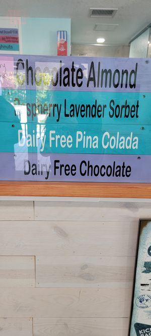 Vegan flavors at Guyer's Ice Cream & Doughnuts in Crystal River