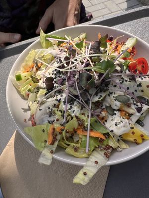 Salad  at Bistro 269 in Vystrkov