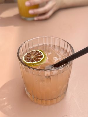 Paloma 0.0  at Paviljoen Strand90 in Domburg