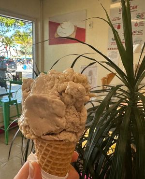 Hazelnut cone  at Gelato-go in Lauderdale-by-the-sea