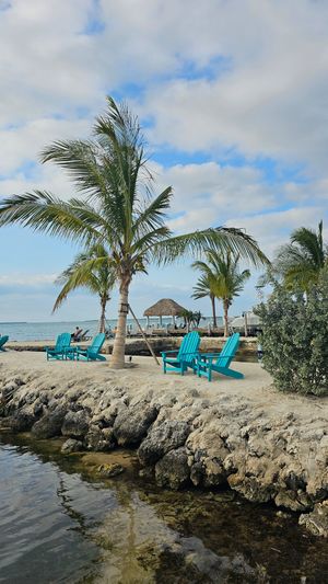 View from our table at Snook's Bayside Restaurant & Grand Tiki in Key Largo