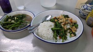tofu basil + morning glory at J-Yai Restaurant Organic Vegetables in Chiang Mai
