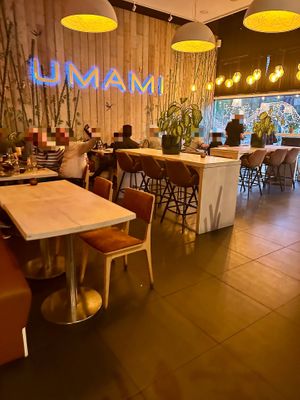 Interior  at Umami in Rotterdam