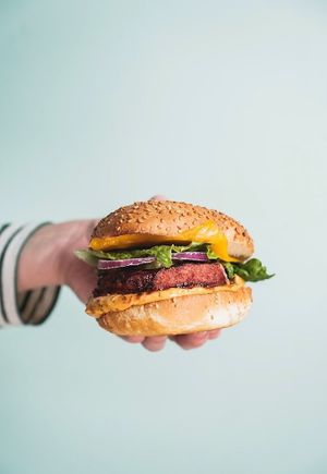  at Copper Branch in Almere