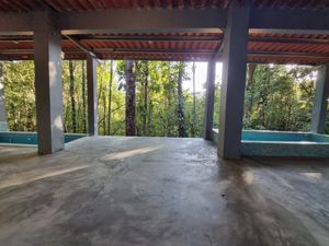 Onsen hot pools  at Treehouse Cerro Azul in Panama City