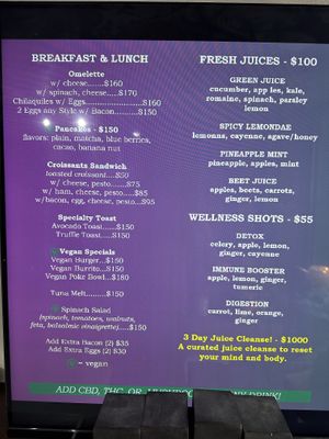   at Chakrana Art Gallery & Conscious Cafe in Puerto Vallarta