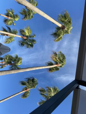   at PLAT a PLAT in Mallorca