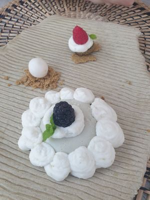  at PLAT a PLAT in Mallorca