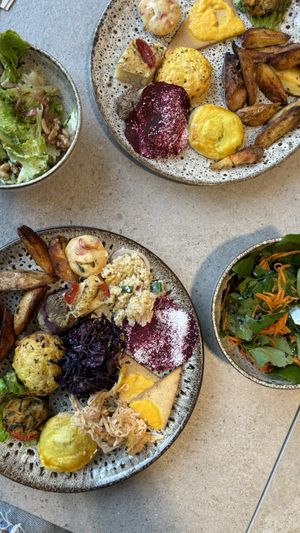   at daTerra in Guimaraes