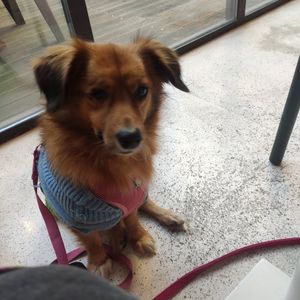 Luninha at daTerra in Guimaraes