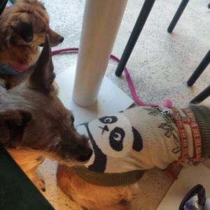 Luninha, Chiquinha e Lola at daTerra in Guimaraes