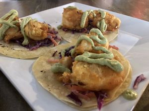 “Fish” tacos  at Alchemist Plant Pub  in Boise