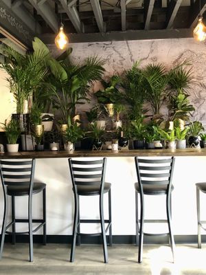 Counter height seating tucked up front  at Alchemist Plant Pub  in Boise