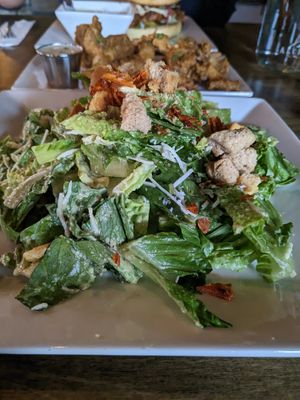 Cesar at Alchemist Plant Pub  in Boise