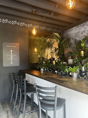 Obsessed   at Alchemist Plant Pub  in Boise