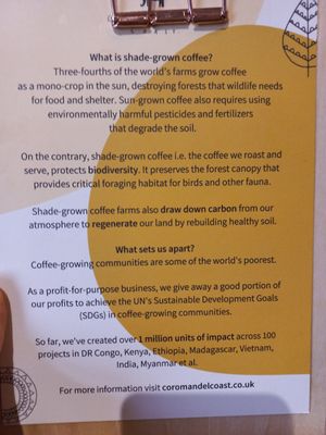 Info about their coffee at FILTR by Coromandel Coast in Sanderstead