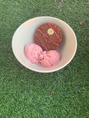 Vegan Ice Cream 
Vegan Cookie

Ask about Our Delicious Daily Flavors at Herban Cafe in Bangkok