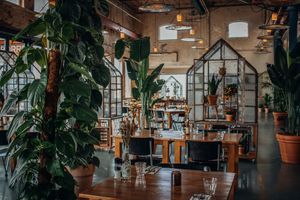 The atmosphere of the restaurant at Lowlander Botanical Bar & Restaurant in Amsterdam