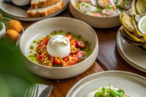 Fresh burrata with local tomato served with crispy potato. at Lowlander Botanical Bar & Restaurant in Amsterdam