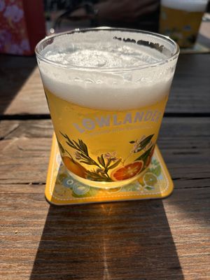   at Lowlander Botanical Bar & Restaurant in Amsterdam